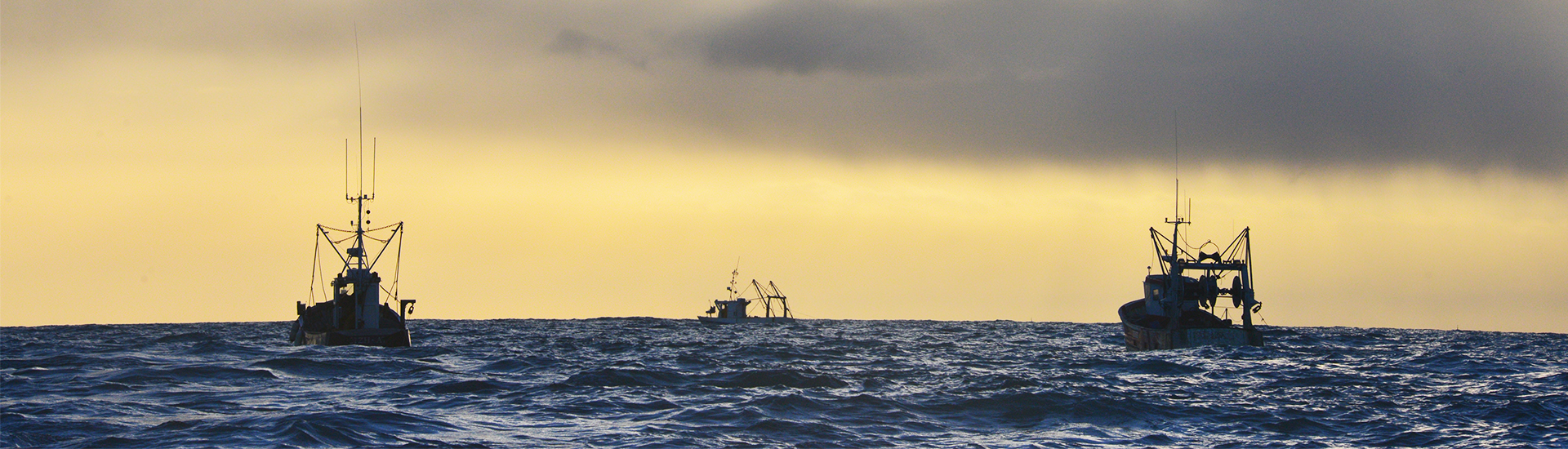 La boite à pêche, la base de la réussite - Sunset Fishing