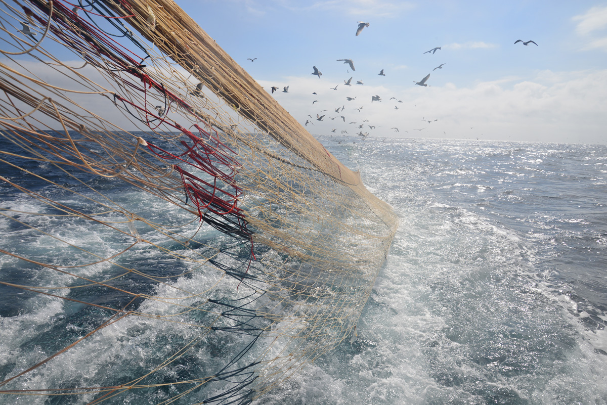 Innovation : Game of Trawls, le filet de pêche intelligent
